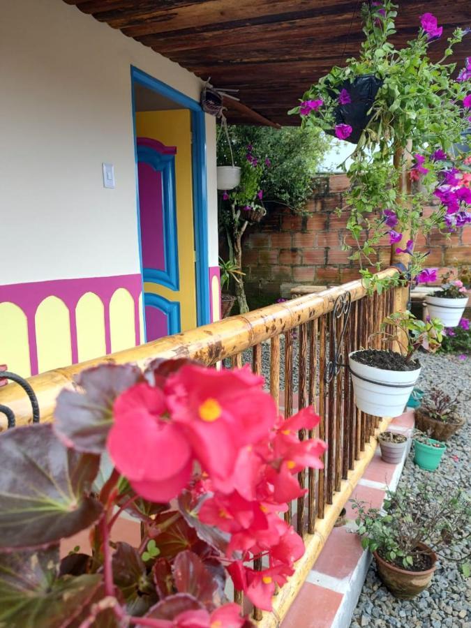 Hostal Casa Madrigal Hotel Filandia Exterior photo